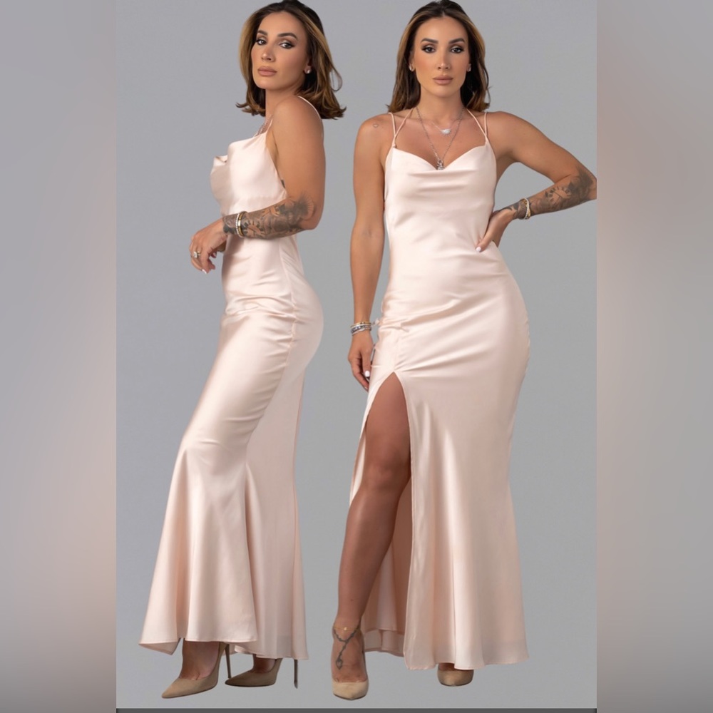 By Egreis Florine Dress Blush with tags never worn